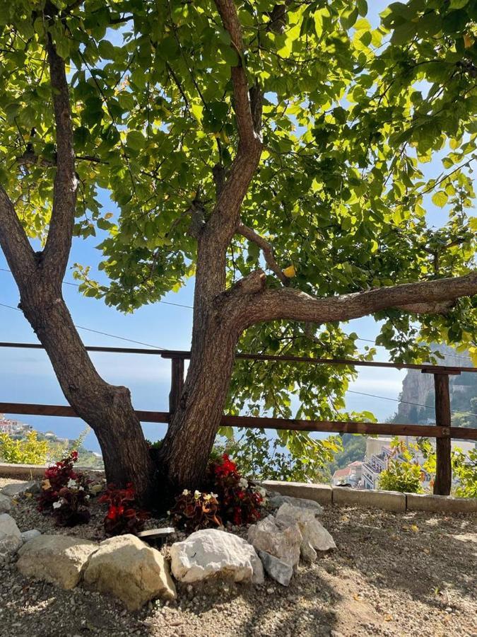 Ferienwohnung Casa Enzo Con Vista Mare Amalfi Exterior foto
